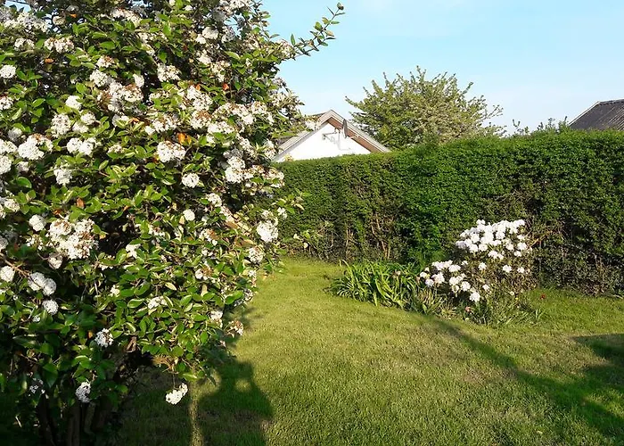 Konukevi Villa Copenhagen Kopenhag